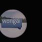 Wonga escapes criminal action over letters scandal